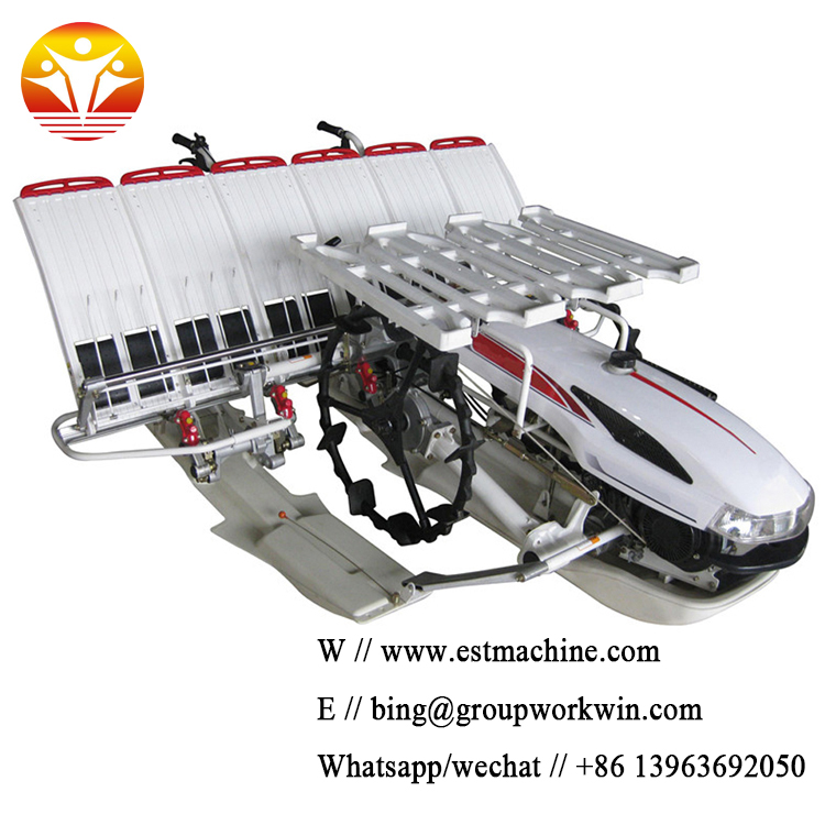 TOP-China-Hand-Manual-Rice-Transplanter-qln (2).jpg